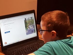 Uczeń rozwiązuje internetowy test SKO