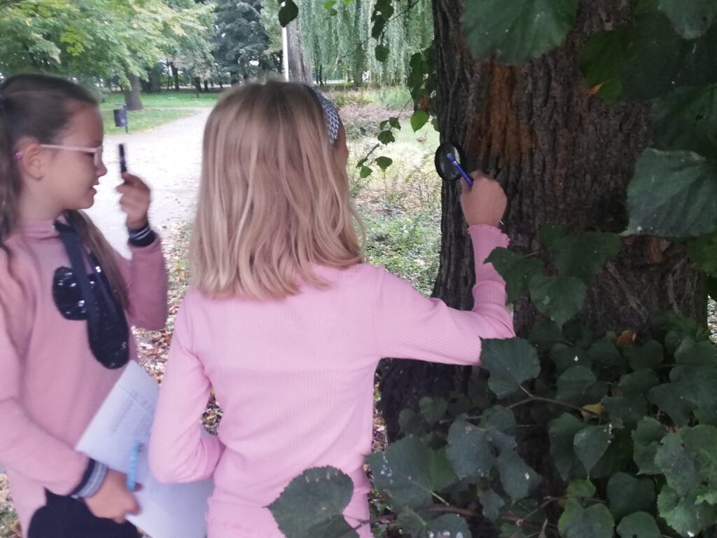 Uczennice obserwują korę drzewa za pomocą lup